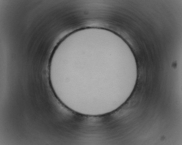 X0000101110848200807171935