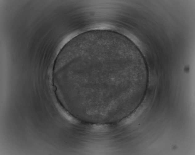 X0000101110850200807171935