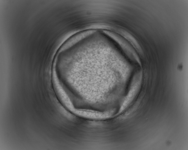 X0000101110852200807171935