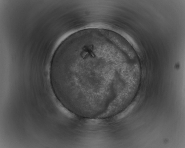 X0000101110854200807171935