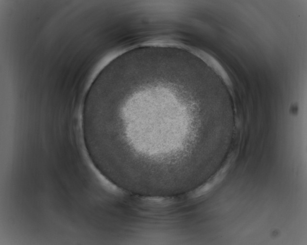 X0000101110855200807171935