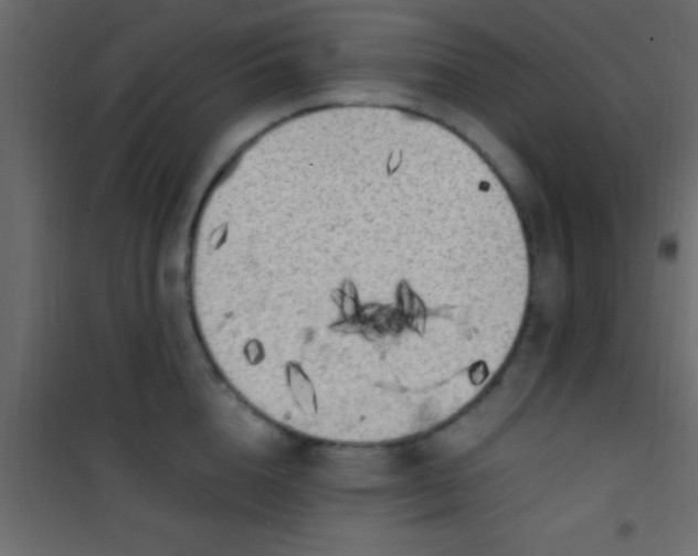 X0000101110856200807171935