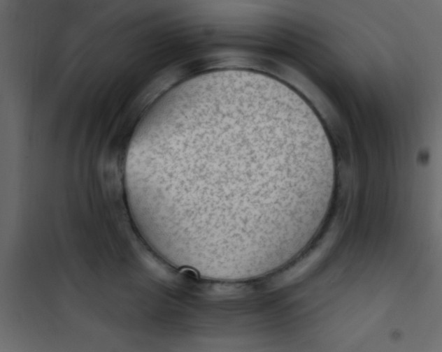 X0000101110857200807171935