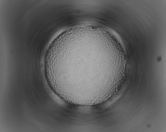 X0000101110859200807171935