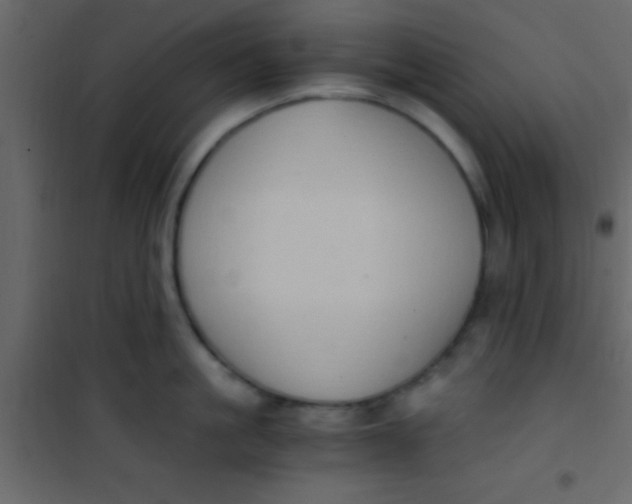 X0000101110861200807171935