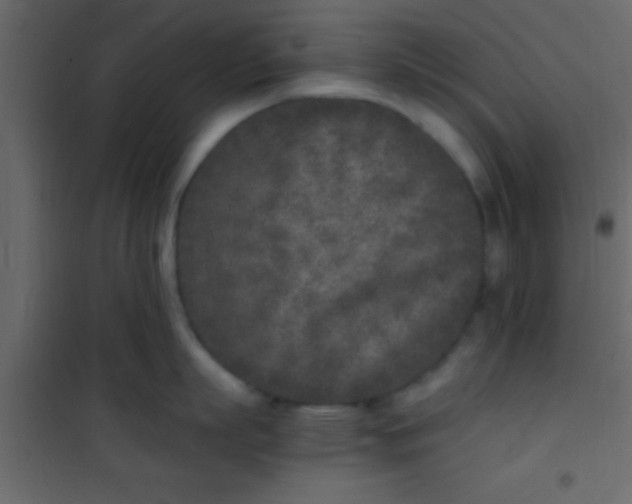 X0000101110863200807171935