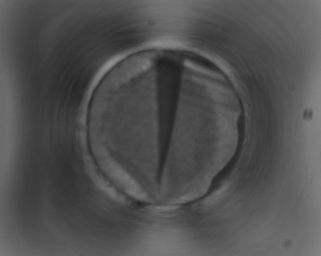 X0000101110864200807171935