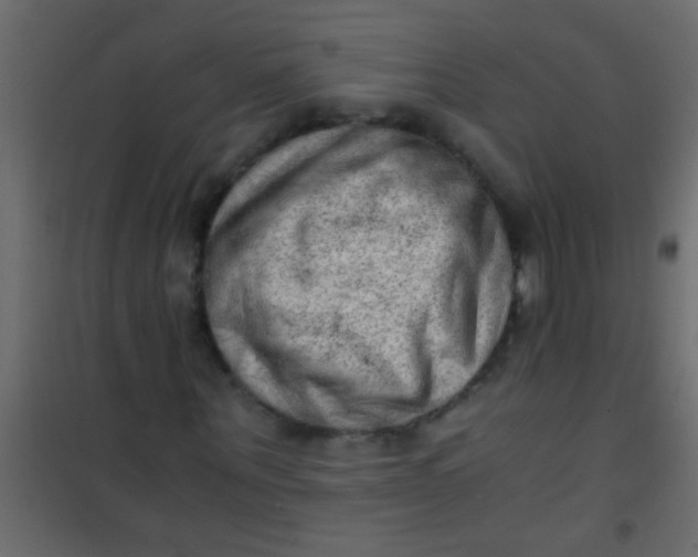X0000101110867200807171934