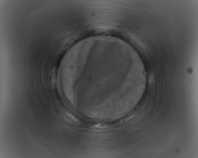 X0000101110868200807171934