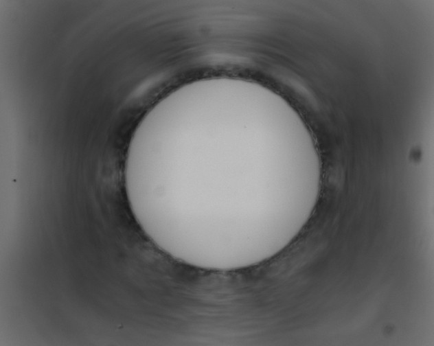 X0000101110869200807171934