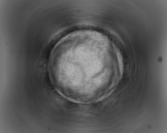 X0000101110870200807171934