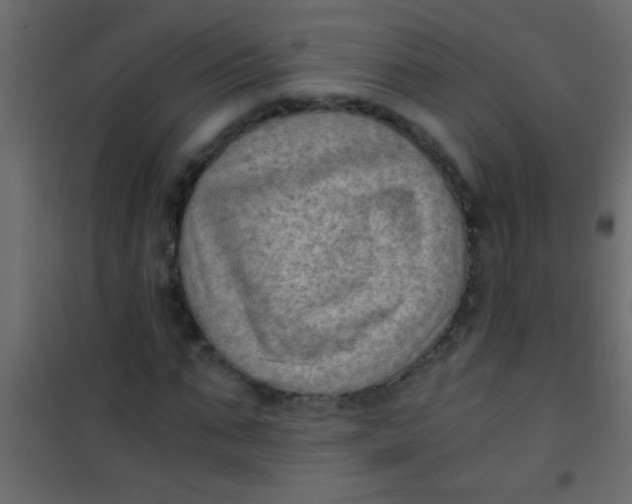 X0000101110871200807171934