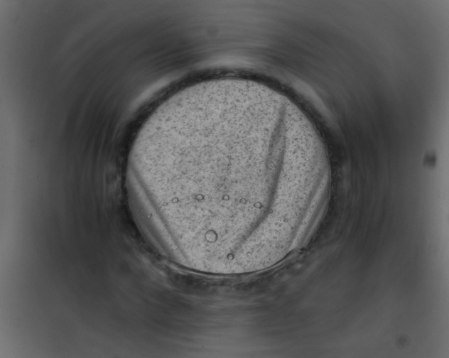 X0000101110872200807171934
