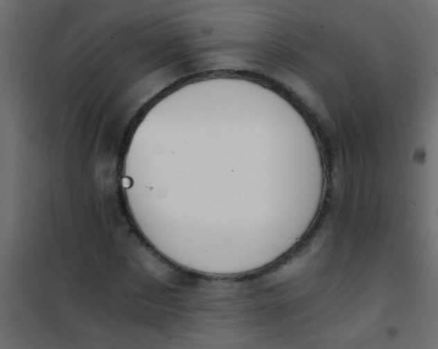 X0000101110873200807171934
