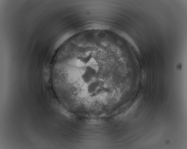 X0000101110874200807171934