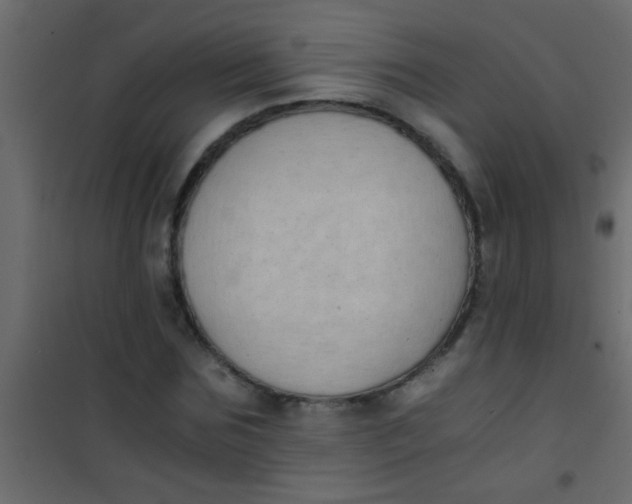X0000101110875200807171934