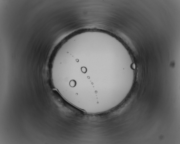 X0000101110876200807171934