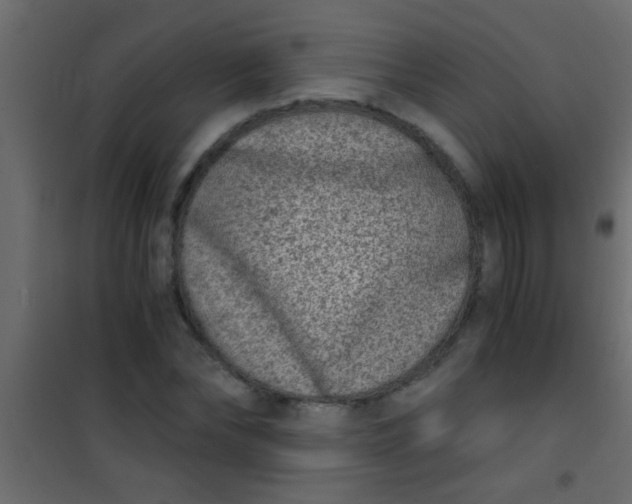 X0000101110878200807171934