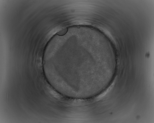 X0000101110881200807171934