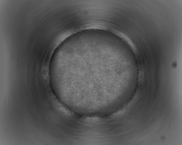 X0000101110882200807171934