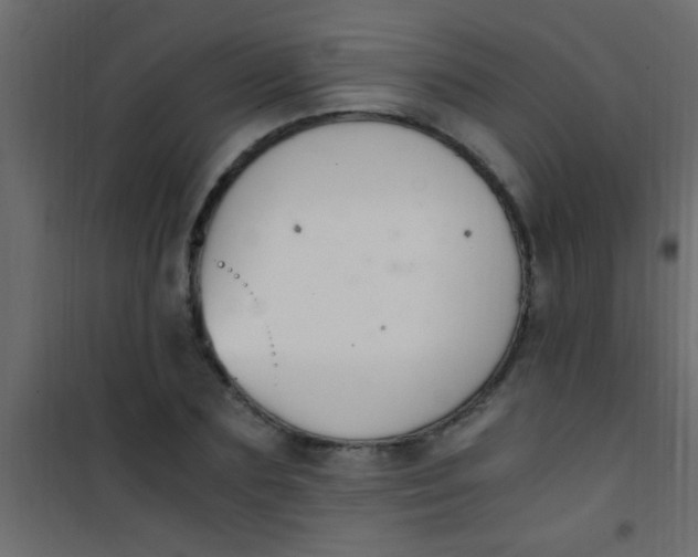 X0000101110883200807171934