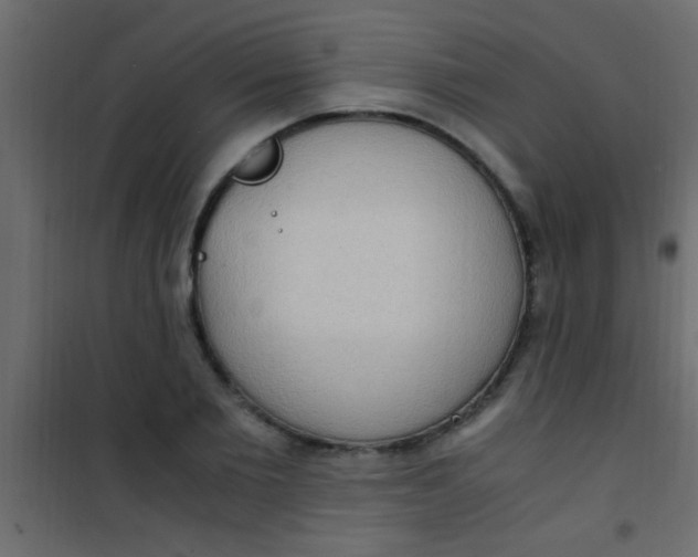 X0000101110885200807171934