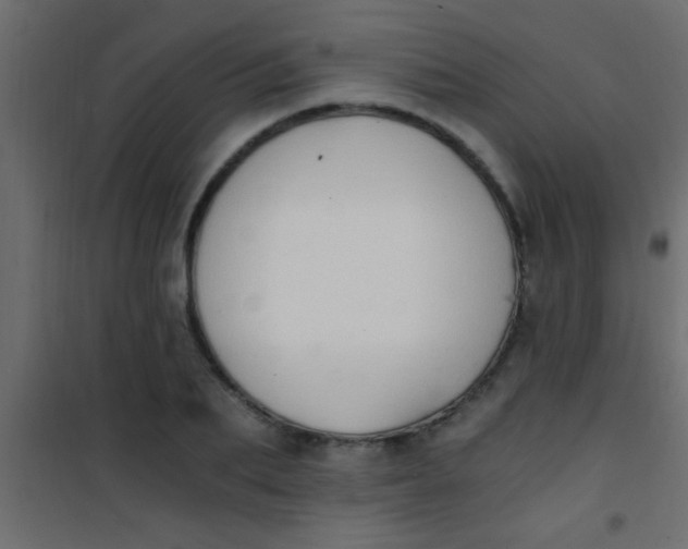 X0000101110887200807171934