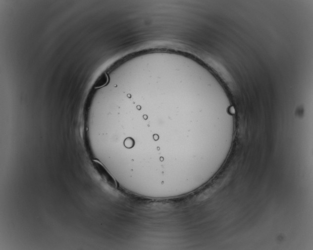 X0000101110888200807171934