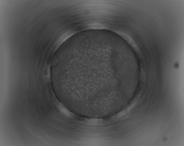 X0000101110889200807171934