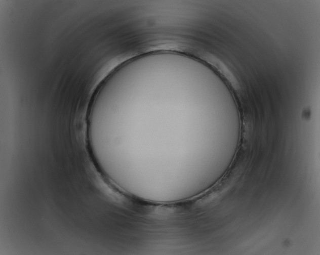 X0000101110890200807171934