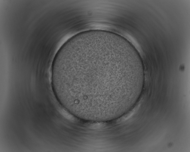 X0000101110891200807171934