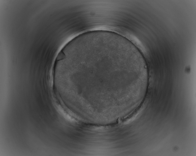 X0000101110892200807171934