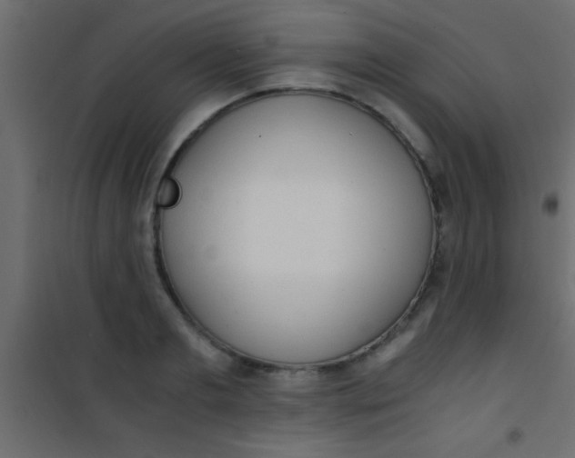 X0000101110893200807171933