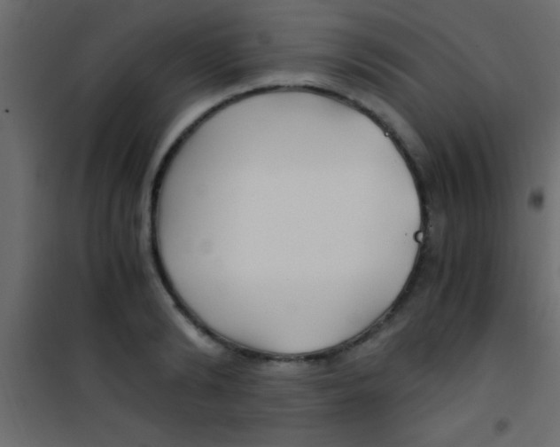 X0000101110894200807171933