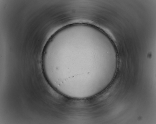 X0000101110895200807171933