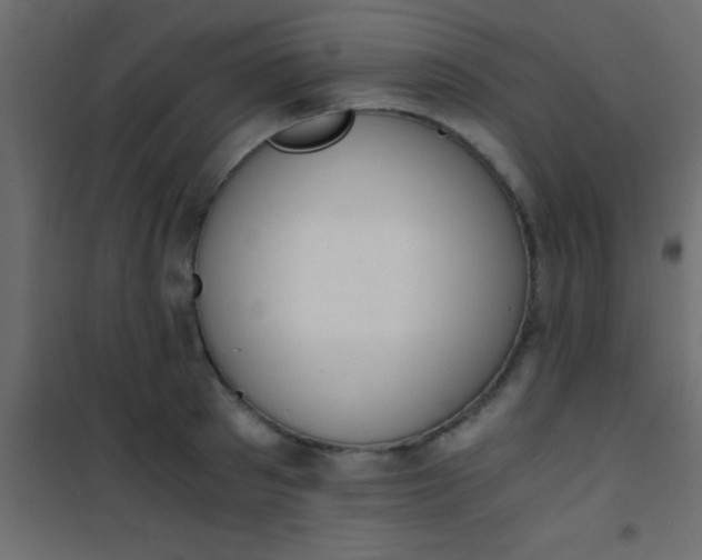 X0000101110897200807171933