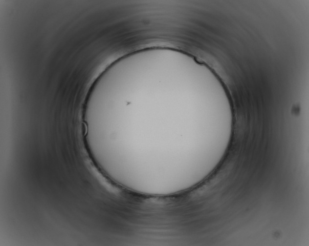 X0000101110898200807171933