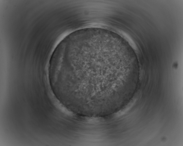 X0000101110899200807171933