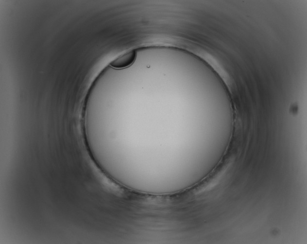 X0000101110901200807171933