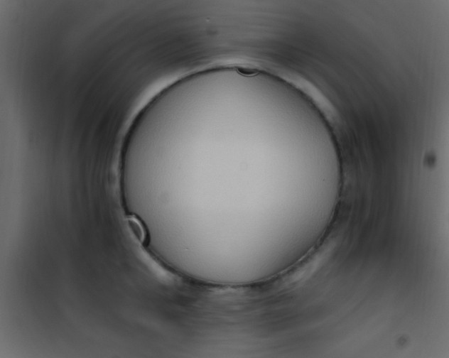 X0000101110902200807171933
