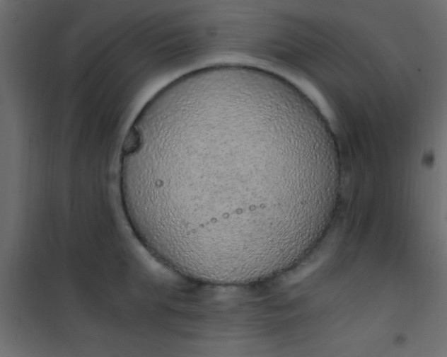 X0000101110903200807171933