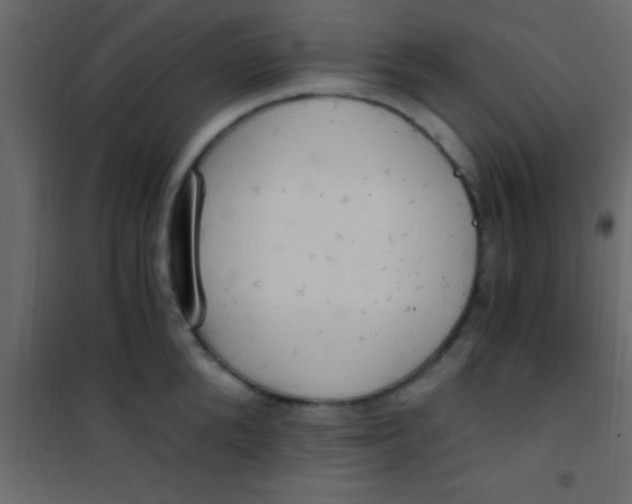 X0000101110904200807171933
