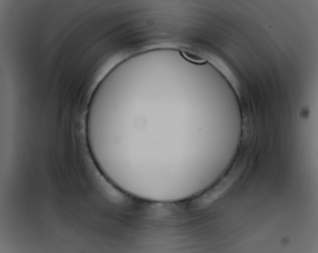 X0000101110906200807171933