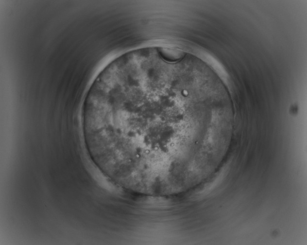 X0000101110907200807171933