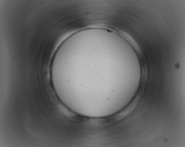 X0000101110908200807171933