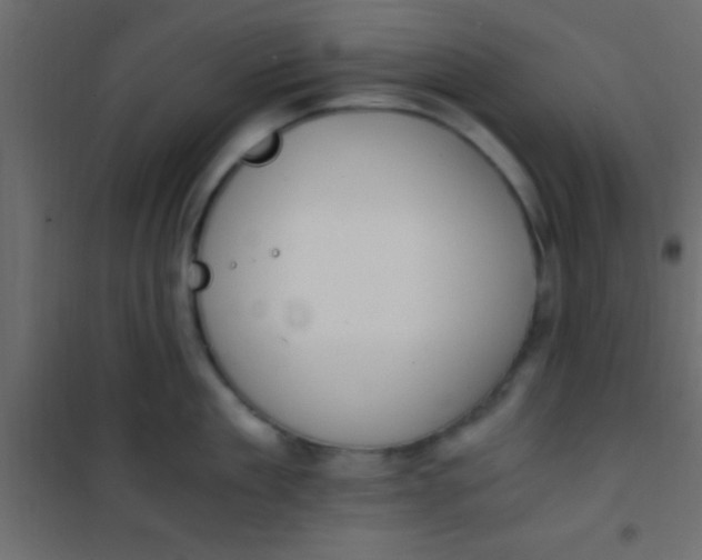 X0000101110909200807171933
