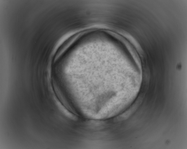X0000101110910200807171933