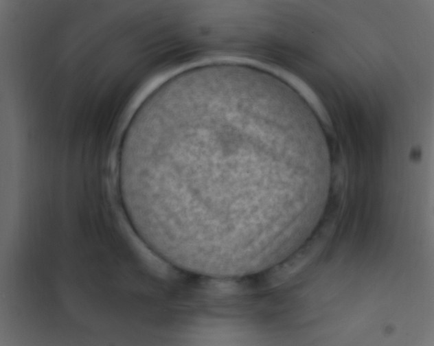 X0000101110911200807171933