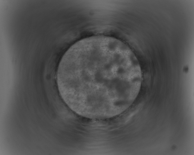 X0000101110913200807171933