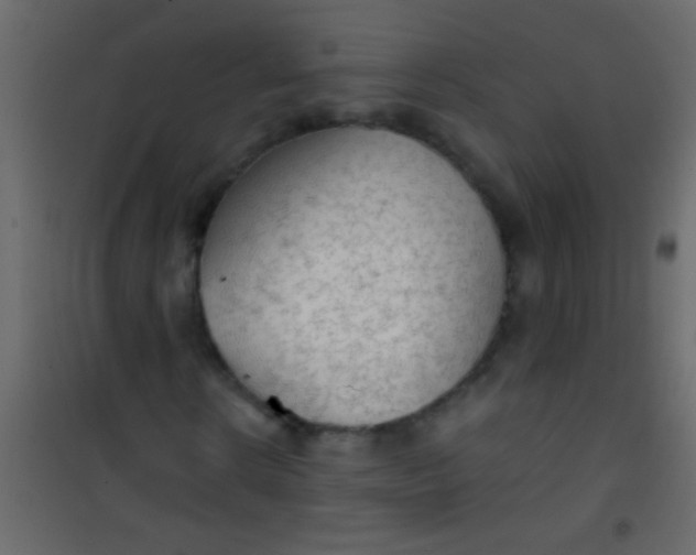 X0000101110914200807171933